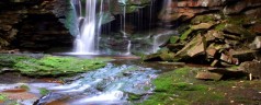 Water – The Essence of Life Water – The Essence of Life