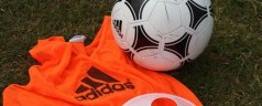 Scottish FA blogs Scottish FA blogs